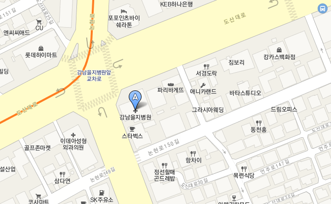 강남을지병원 지도